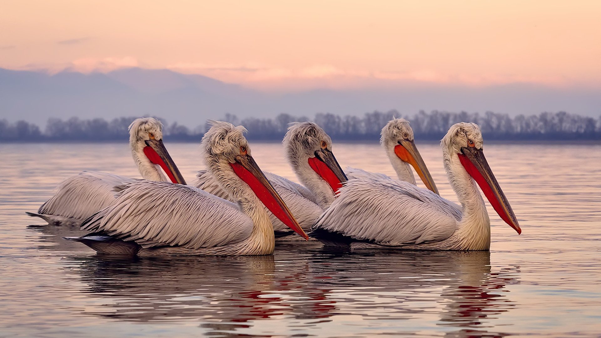 德国女子3x3篮球队夺得金牌，德国女运动员选拔现场