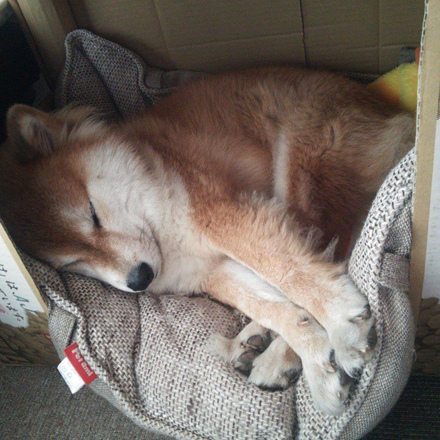 数字化裁判视频解析系统提升判罚效率与公正性，数字化审判