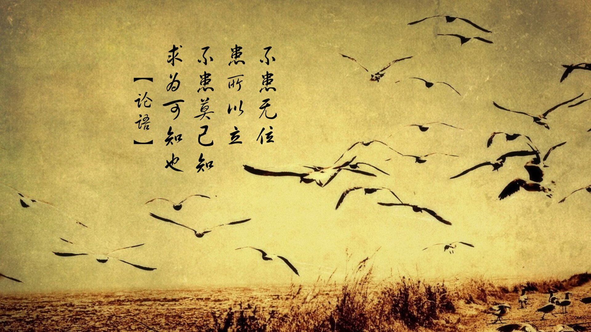 开云娱乐-“中国女足连续夺冠，展现亚洲霸主风采”，中国女足年终排名亚洲第三 视频