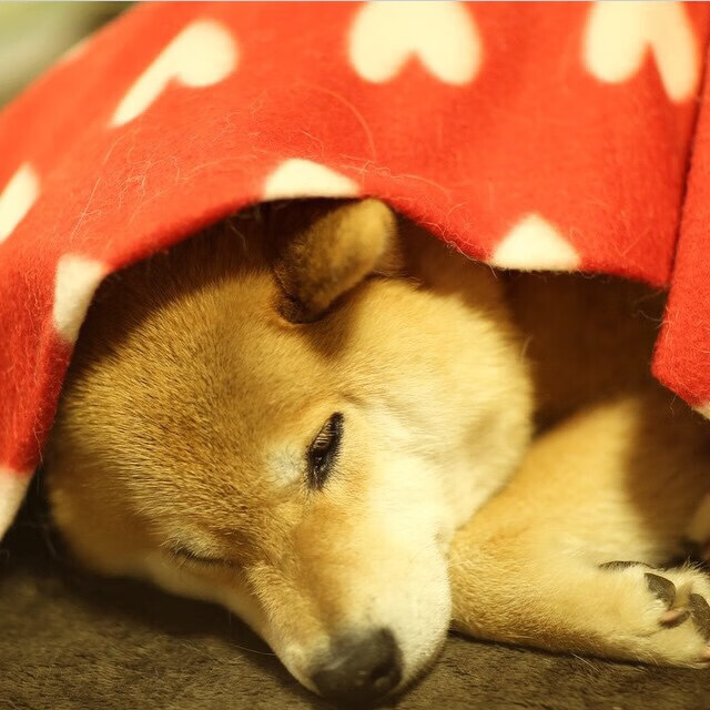 开云体育中国官方网站-“精彩集锦：本周中超最佳瞬间盘点”，中超最佳阵容评选