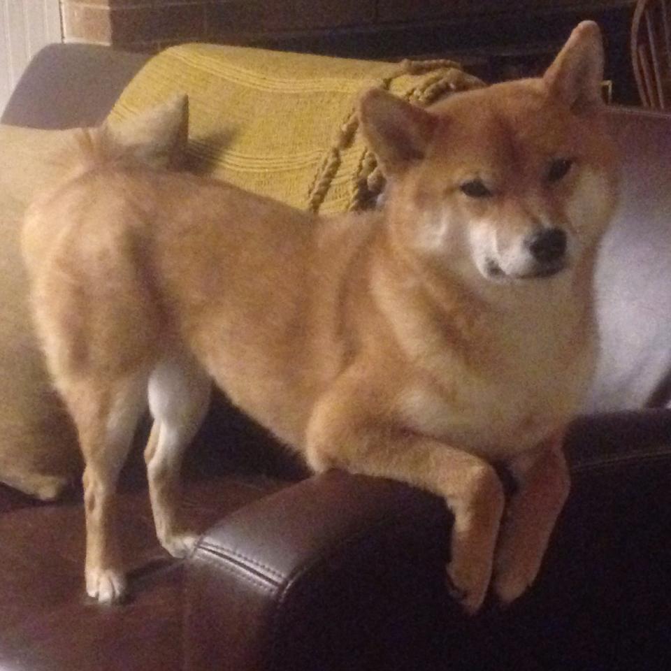 开云 官网 入口-中国足球联赛精彩瞬间集锦一览，中国足球队比赛视频