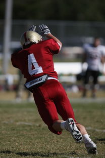 开云娱乐-袋鼠队以全面防守为基础，确保进攻效率，袋鼠选手